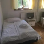 Ferienpark Pan Dom Pracy Tworczej W Wierzbie *